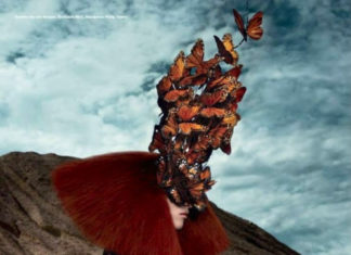 Fashion Editorial : Photo