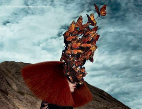 Fashion Editorial : Photo