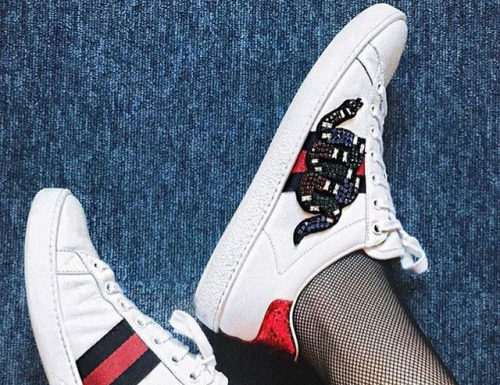 Gucci : GUCCISNEAKERS