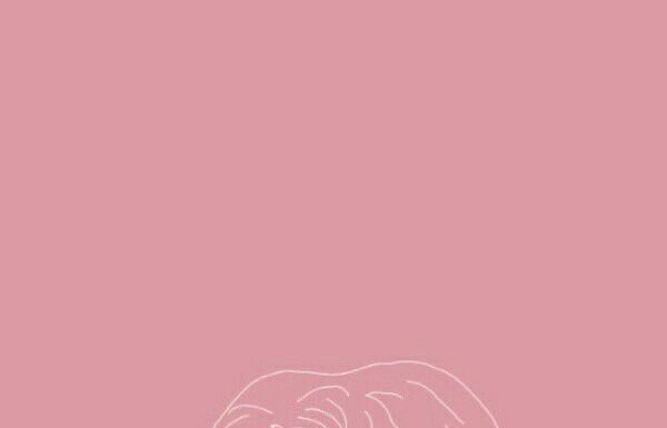 Fashion Quotes : …