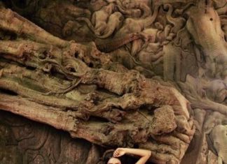 Fashion Editorial : Photo