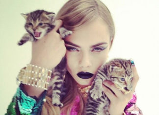 Fashion Editorial : Photo