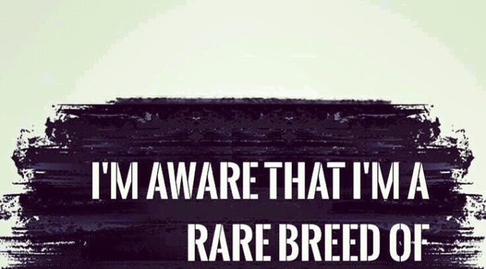 Fashion Quotes : …