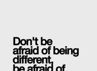 Fashion Quotes : …