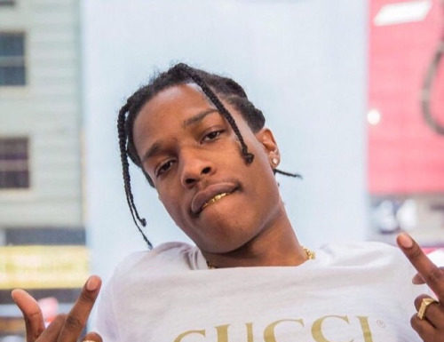 Gucci : Photo