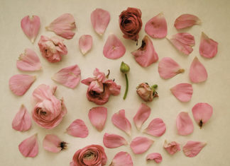 Fashion : Photo