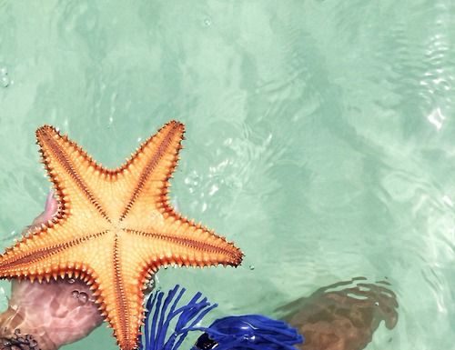 Best Swimsuits 2017/2018 : …