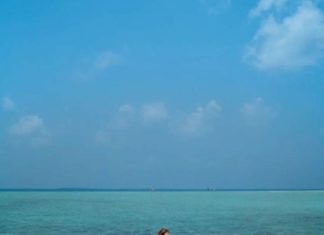 Fashion Editorial : Photo