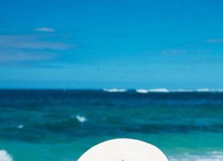 Best Summer Accessories 2017/2018 : shoptiques.com – Eugenia Kim Toyo Hat