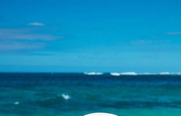 Best Summer Accessories 2017/2018 : shoptiques.com – Eugenia Kim Toyo Hat