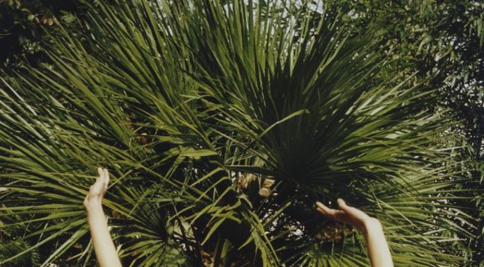 Best Swimsuits 2017/2018 : Shop new season style with the latest trends we love at Topshop. Women’s fashion gets fresh in stand-out dresses, coats, shoes and more. Includes free shipping.