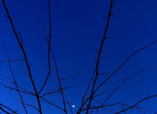 Fashion : billykidd:
The moons eye.