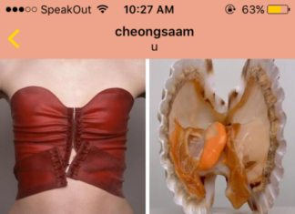 Fashion Editorial : how tf are these posts n/s/f/w