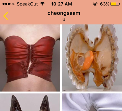 Fashion Editorial : how tf are these posts n/s/f/w