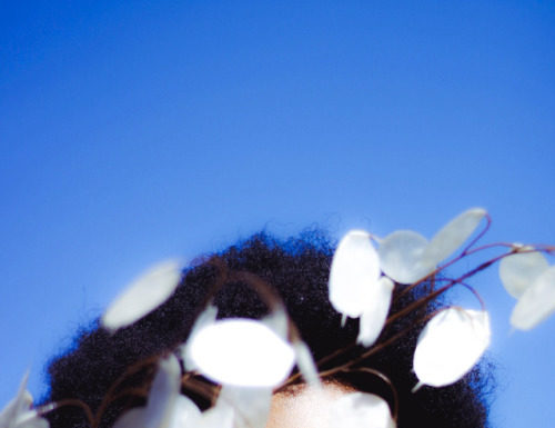 Fashion Editorial : rookiemag:
Field Report
Making discoveries outdoors.
By…