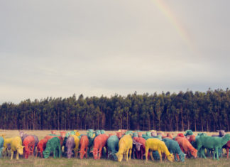 Fashion : fashiondailymag:
rainbow nature. Dream series by Gray…