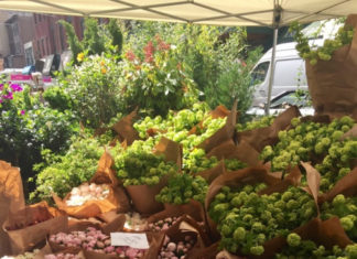 Fashion : fdmlovesflowers:the peonies The city.
My pic (brigitte segura).