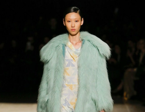 Fashion : freaki:
MIU MIU RTW FALL 2017