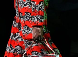 Fashion : Gucci Spring 2017 Menswear