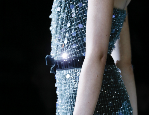 Fashion : notordinaryfashion:Armani Prive’