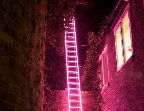 Fashion : pink