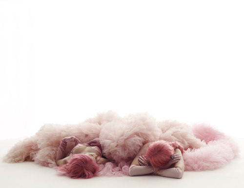 Fashion : pink day. giambattista valli.via.nick knight.
