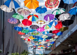 Fashion : pupsik11color:Color’s of Zuerich