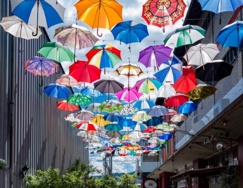 Fashion : pupsik11color:Color’s of Zuerich