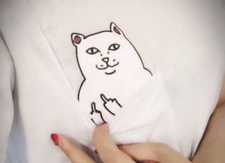 Fashion Quotes : Cat in Pocket