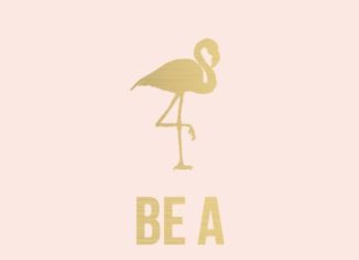 Fashion Quotes : Fun personality tests and entertainment quizzes for all the family.