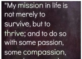 Fashion Quotes : Maya Angelou #quote…