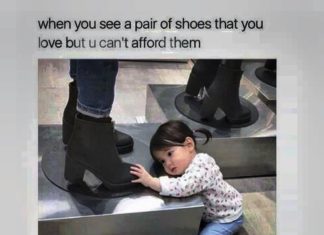 Fashion Quotes : Mesa Funny Pictures (09:28:56 AM, Saturday 09, July 2016 PDT) – 50 pics – LOL MANIA CLUB