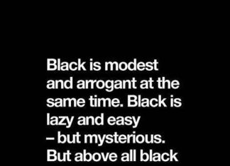 Fashion Quotes : ZsaZsa Bellagio