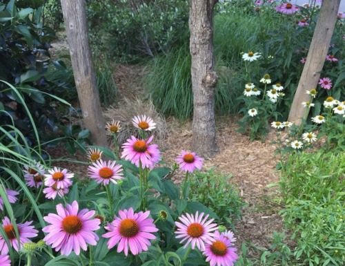 Fashion : The west village flowers on the way …
my snap