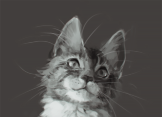 Fashion : yueko:Value study of a cat I did in class last week!