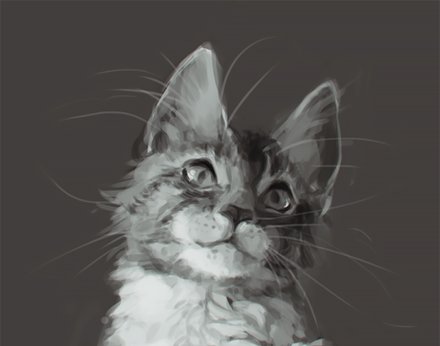 Fashion : yueko:Value study of a cat I did in class last week!