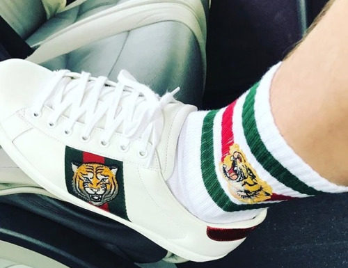 Gucci : GUCCITIGER