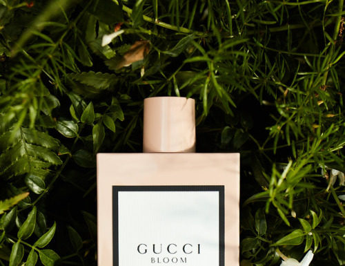 Gucci : Presenting Gucci Bloom, the new women’s scent created by…
