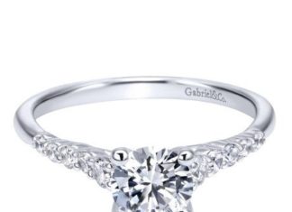 Luxury Jewelry 2017/2018 : 14K White Gold 1.01cttw Pave Set Graduated 11-Stone Round Diamond Engagement Ring