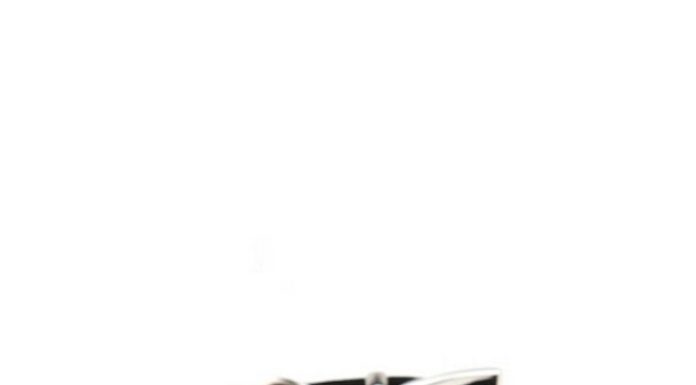 Luxury Jewelry 2017/2018 : Adjustable Pearl and Crystal Pet Collar in Four Colors