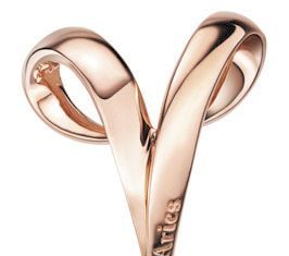 Luxury Jewelry 2017/2018 : Aries ring… gotra have it in silver!!!…