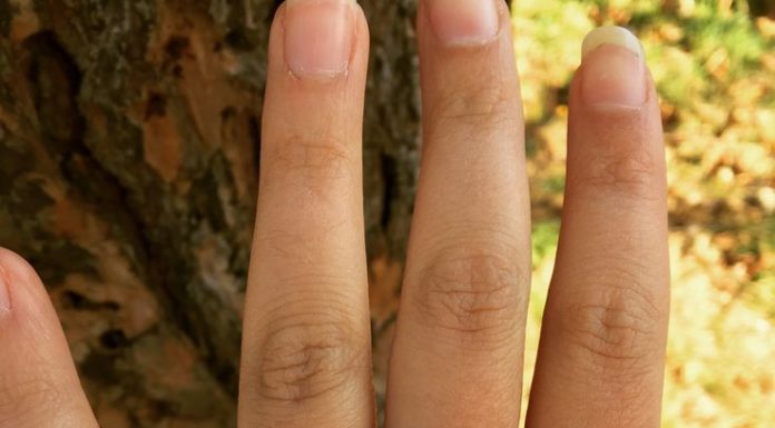 Luxury Jewelry 2017/2018 : It's here! – Weddingbee…