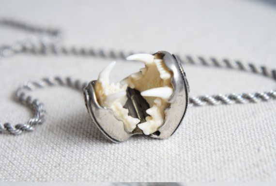 Luxury Jewelry 2017/2018 : thefabulousweirdtrotters