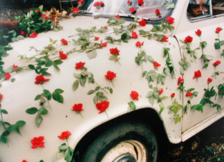 Fashion : 🌺🌺🌺🌺