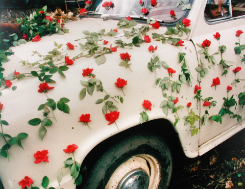 Fashion : 🌺🌺🌺🌺