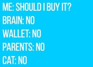 Fashion Quotes : Junior’s Online Clothing Store | Women’s Boutique | Dainty Hooligan