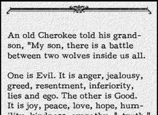 Fashion Quotes : Wise…