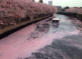 Street Style : Photo