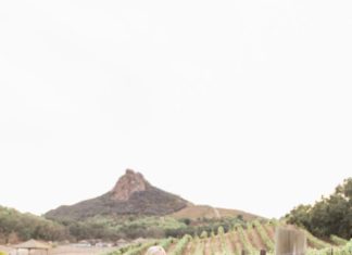 Beautiful Brand Wedding Dresses : Beautiful ballgown: Photography: Leah Vis – www.leahvis.com/…