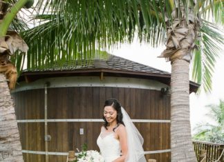Beautiful Brand Wedding Dresses : Elegant wedding dress: Photography: Jana Dillon – www.janadillonpho……